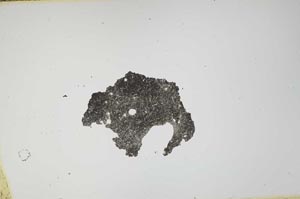 Plane Polarized, S1648
