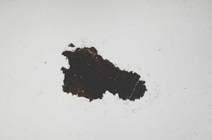 Plane Polarized, S1649