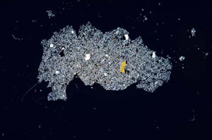 Cross Polarized, S1658