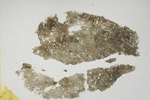 Plane Polarized, S1677