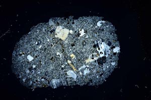 Cross Polarized, S1683