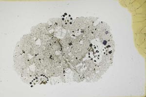 Plane Polarized, S1683