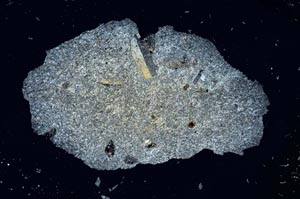 Cross Polarized, S1684