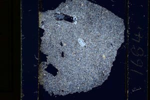 Cross Polarized, S1684/A