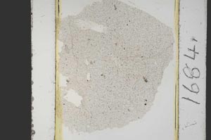 Plane Polarized, S1684/A