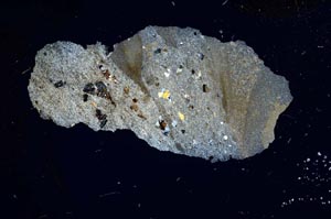 Cross Polarized, S1686