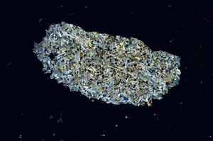 Cross Polarized, S1687