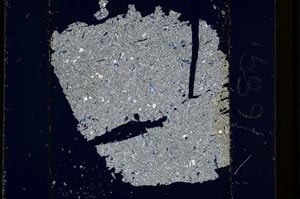 Cross Polarized, S1689