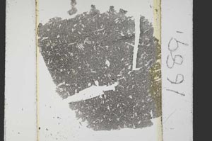 Plane Polarized, S1689