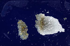 Cross Polarized, S1689/A