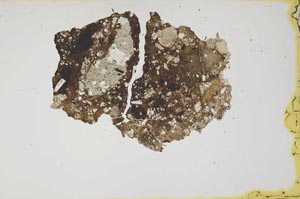 Plane Polarized, S1693