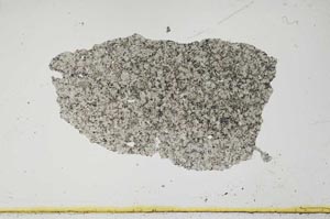 Plane Polarized, S1696