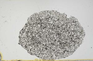 Plane Polarized, S1707
