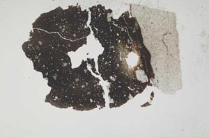 Plane Polarized, S1713