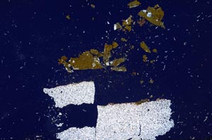Cross Polarized, S1714