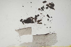 Plane Polarized, S1714