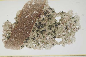 Plane Polarized, S1719