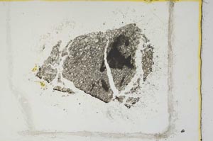 Plane Polarized, S1726