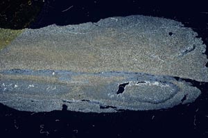 Cross Polarized, S1727