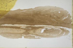 Plane Polarized, S1727