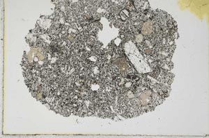 Plane Polarized, S1728