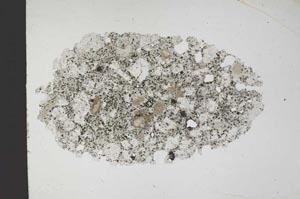 Plane Polarized, S11309