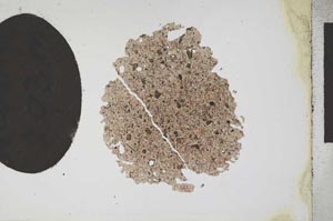 Plane Polarized, S11328