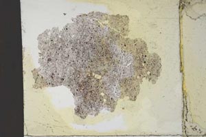 Plane Polarized, S11332