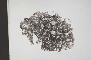 Plane Polarized, S11338