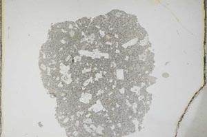 Plane Polarized, S11339