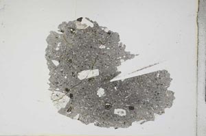 Plane Polarized, S11340