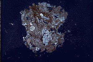 Cross Polarized, S11349