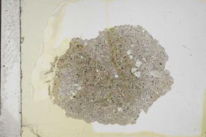 Plane Polarized, S11351