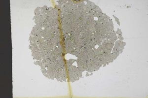 Plane Polarized, S11352