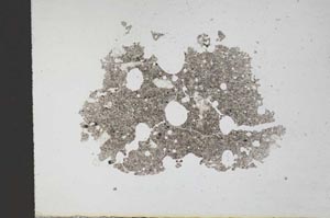 Plane Polarized, S11356