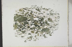 Plane Polarized, S11381