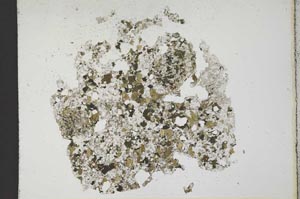 Plane Polarized, S11384