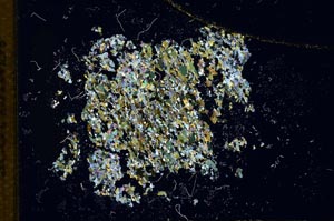 Cross Polarized, S11385