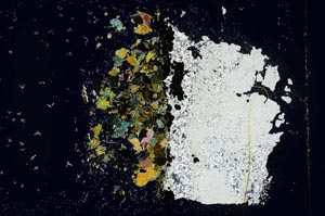 Cross Polarized, S11386