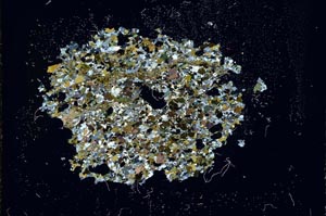 Cross Polarized, S11387