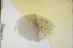 Plane Polarized, S11389