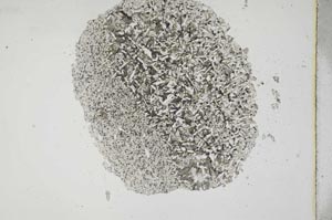 Plane Polarized, S11395