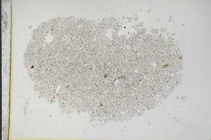 Plane Polarized, S11396