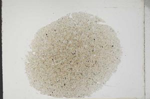 Plane Polarized, S11399