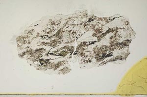 Plane Polarized, S1741