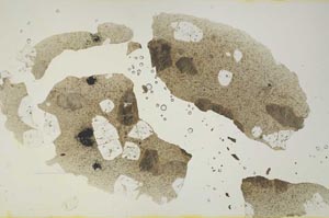 Plane Polarized, S1755