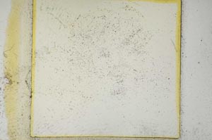 Plane Polarized, S1760
