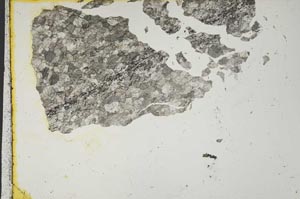 Plane Polarized, S1765
