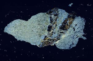 Cross Polarized, S1769