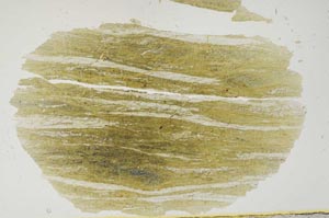 Plane Polarized, S1770